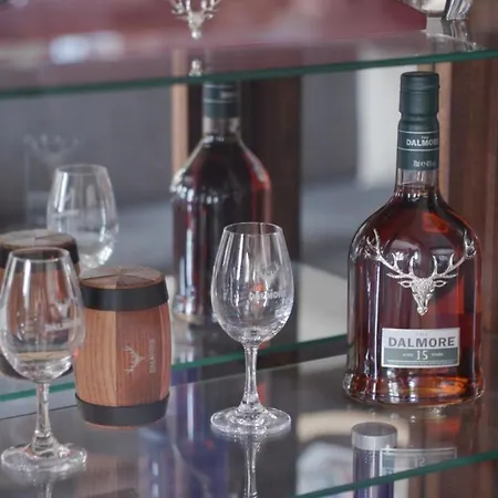 达尔摩庄园酒店 内维兹